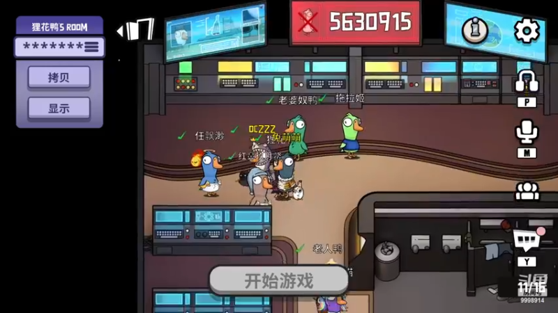 【2023-01-02 02点场】September猫：23年的第一天！~