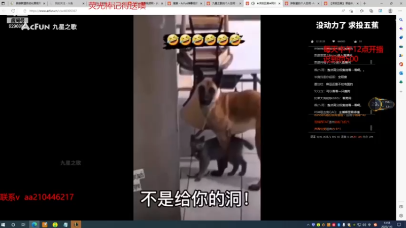 【2023-01-03 13点场】左手吸血鬼QAQ：征服者吸血鬼 速来