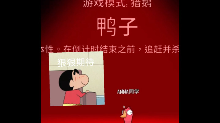 猎鹅的快乐，谁知道！