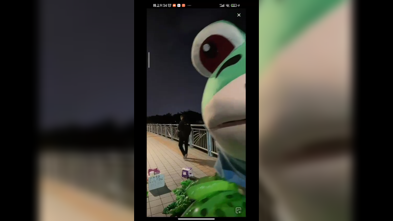 哑女小姐姐晚上卖青蛙，但是行人好少