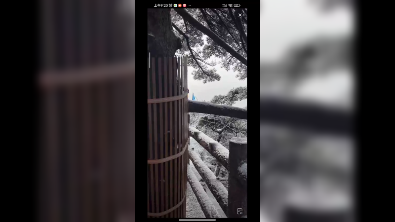 来黄山看美景，云海雾凇真好看啊