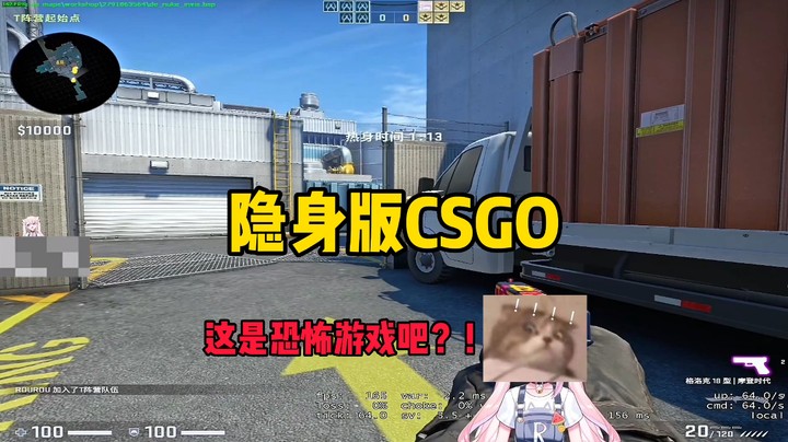 【肉肉】偶尔玩玩不一样的CSGO~
