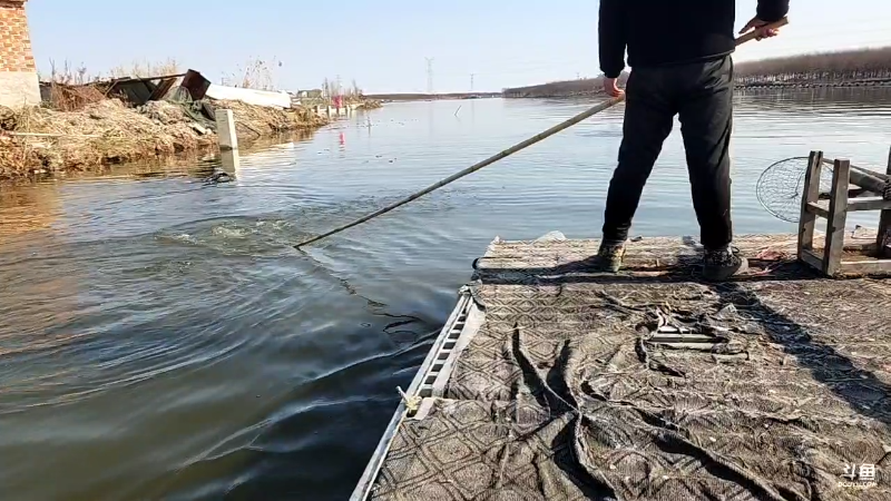 【户外】微山湖捕鱼武工队的精彩时刻 20230103 10点场