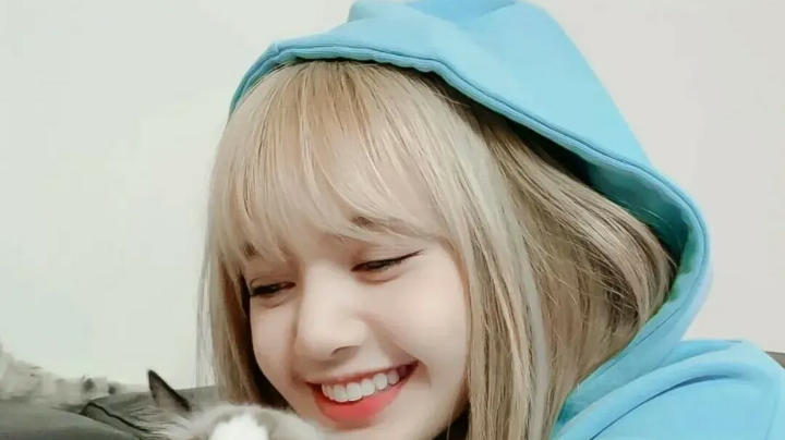 DL