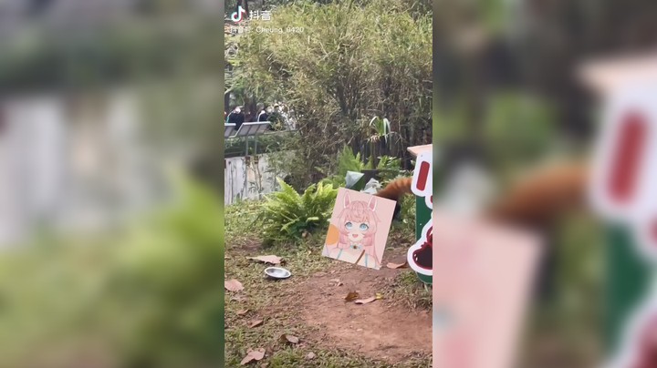 龘讋啔发布了一个斗鱼视频2023-01-03