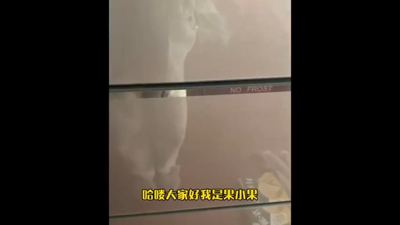 又到了大家第一喜欢的小果下厨房环节啦！今天带来的菜品是《糖醋酥肉》～