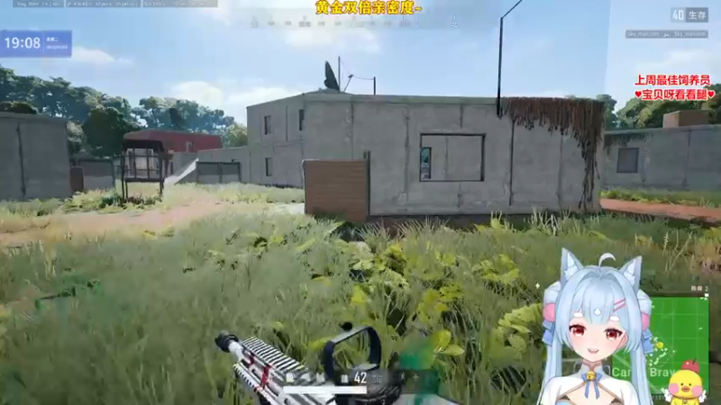 【2023-01-03 19点场】果小果是个弟弟：果小果：周二愉快~