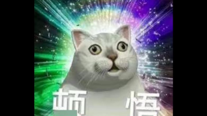 【2023-1-3 22点场】你好俞彬彬:xin nian kuai le
