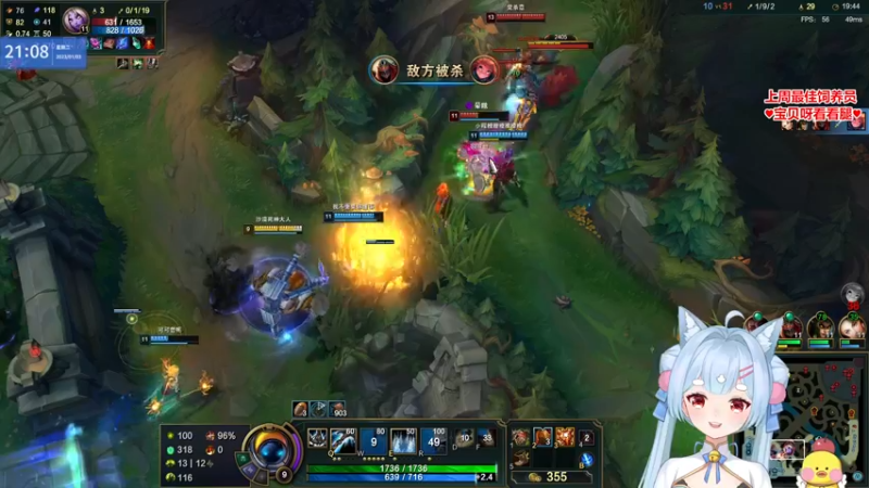 【2023-01-03 21点场】果小果是个弟弟：果小果：周二愉快~