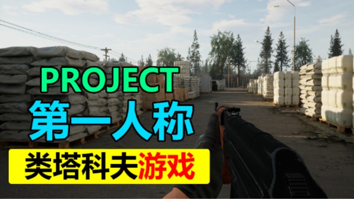 类塔科夫游戏 免费试玩  PROJECT