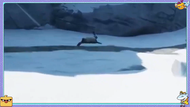 我在斗鱼看即将拥有人鱼线的PDD直播英雄联盟