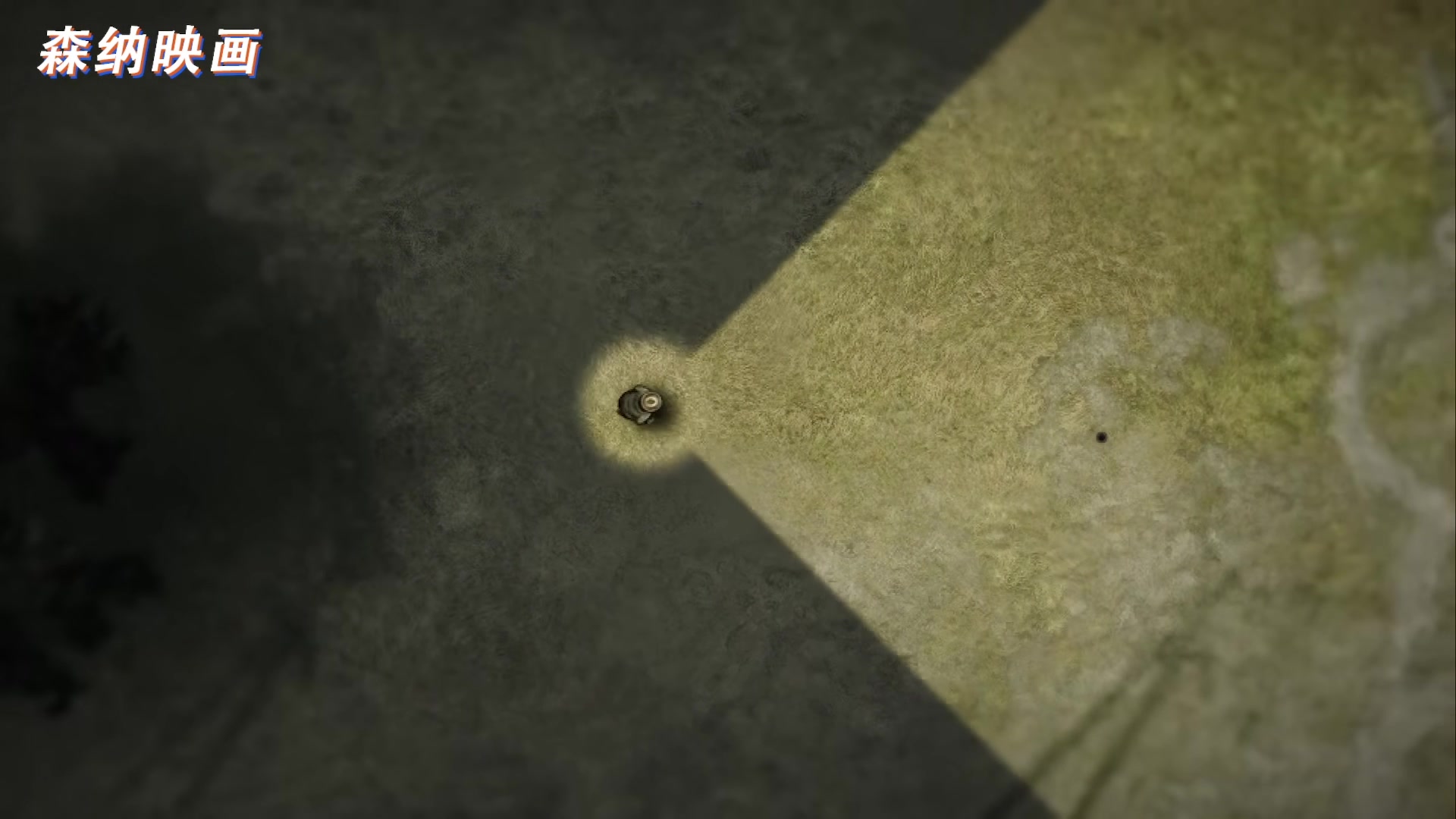 【2023-01-05 14点场】zard1991：zard1991 chill dude