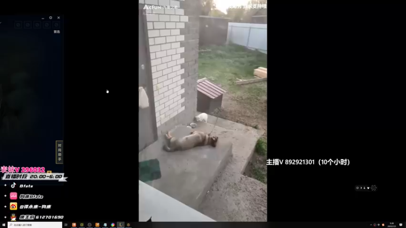 【2023-01-05 05点场】狗康Bfate丶：最强玩法！不灭千变中单皎月把把杀穿！