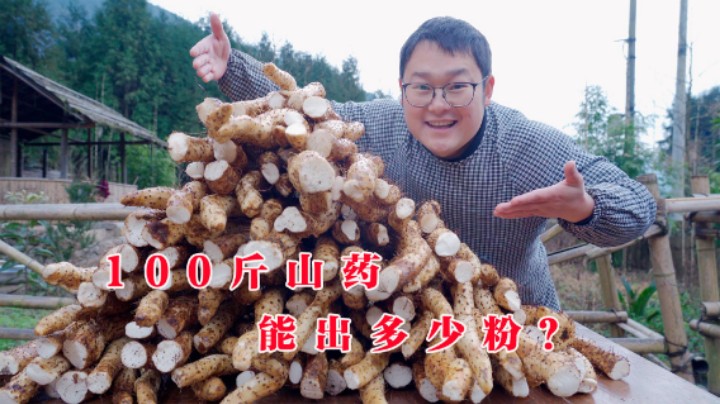 100斤山药能出多少粉？整100斤，解锁一下！