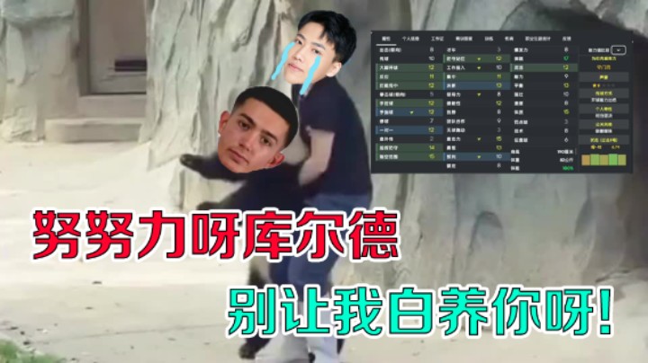 【阿飞】明明是神仙阵容，飞经理为何频频尖叫叹气？