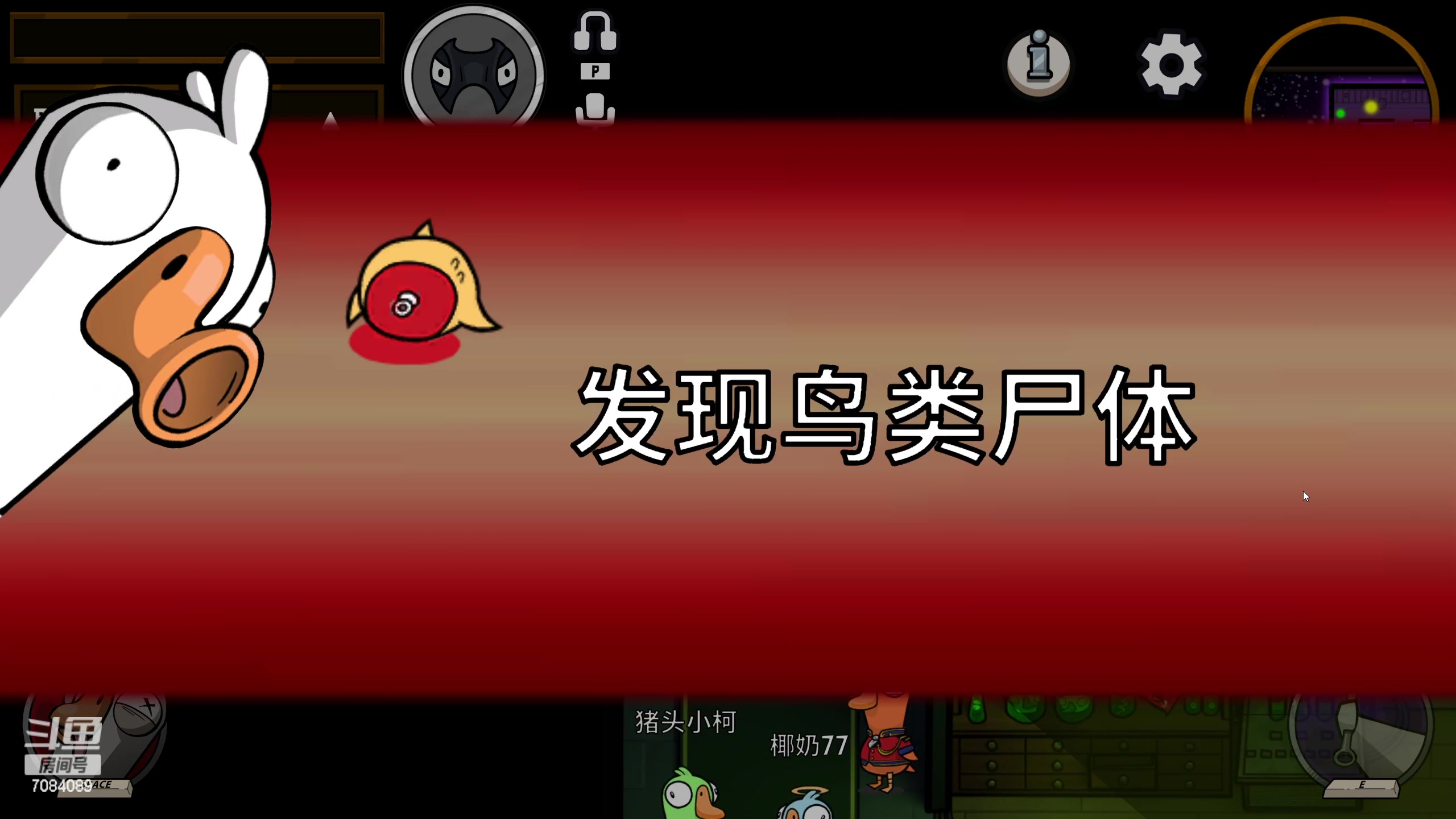 【2023-01-07 02点场】童扬korol丶：童扬：玩会鹅
