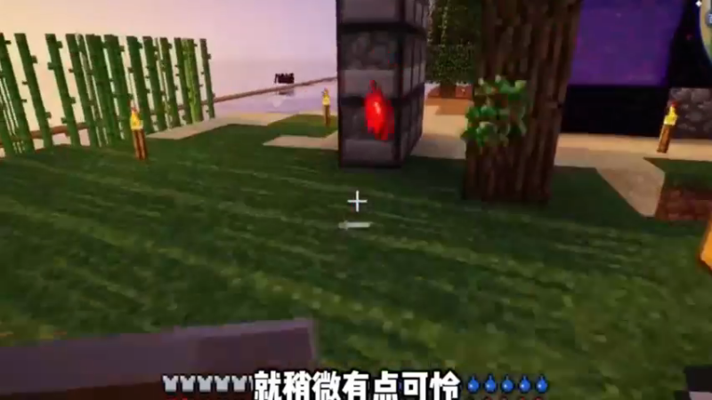 生存挑战6