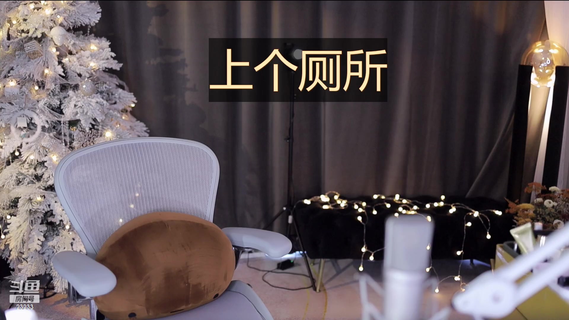 【2023-01-08 14点场】喵小莎：12点来 晚上10.30