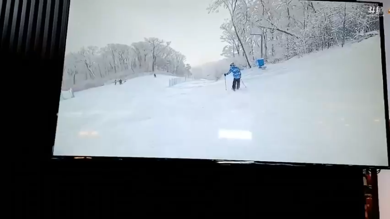 博哥和美女丹丹坐车去温泉玩，丹丹急了