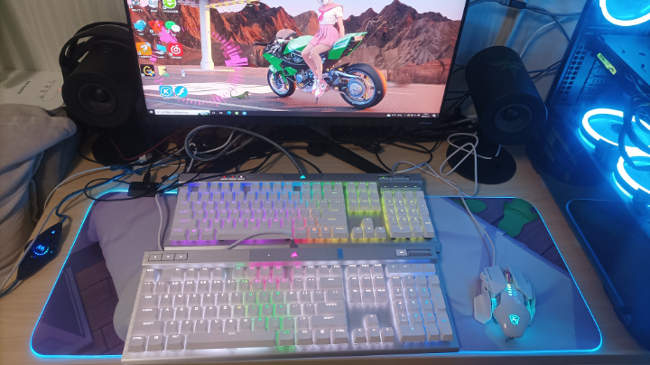 【2023-1-9 19点场】爱吃果冻的小何丫:小何哥哥  S4纯手动爱好者