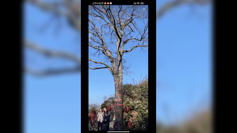 出门旅游的人越来越多了