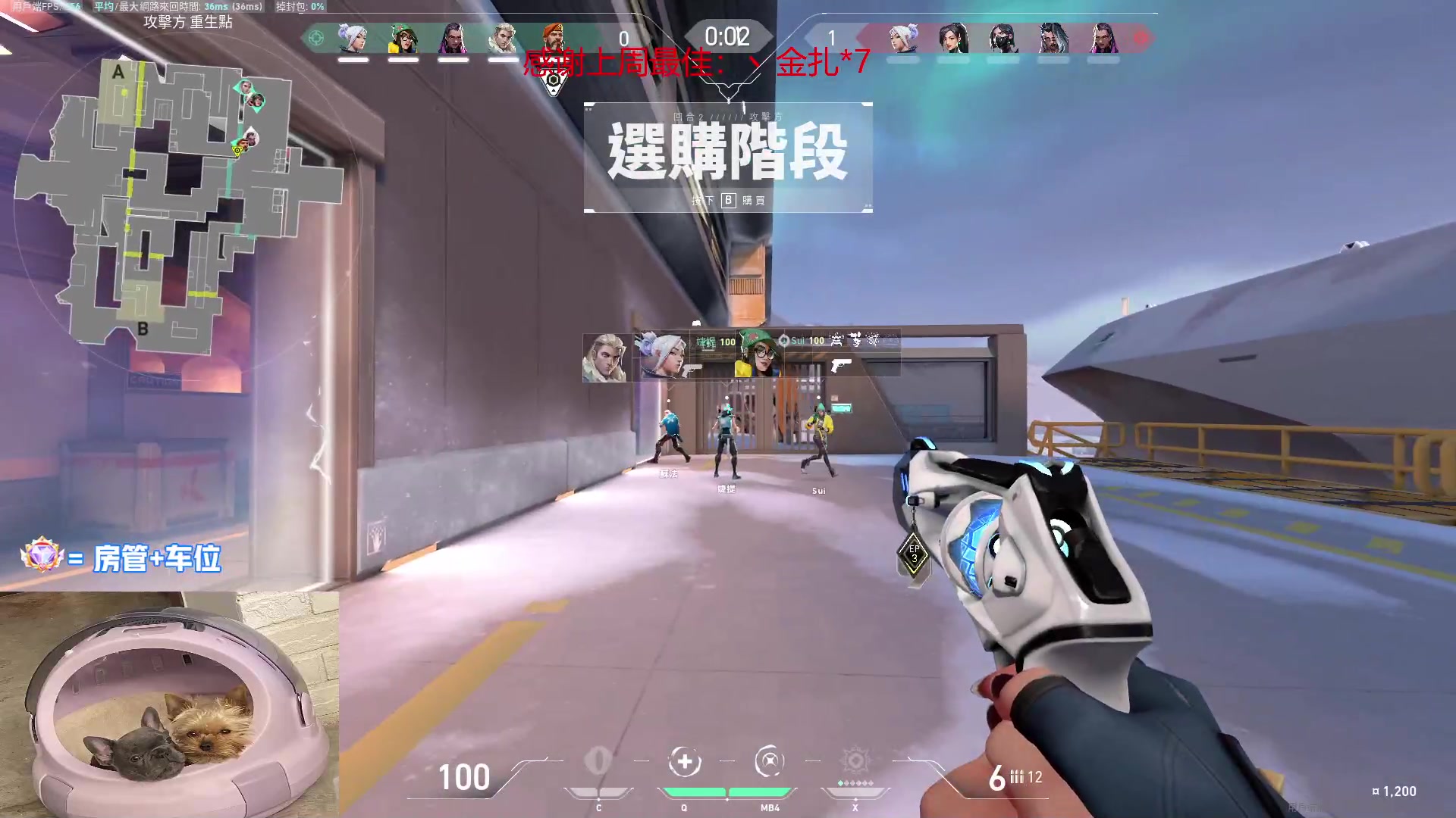 【2023-01-08 17点场】瓦罗兰特啊杰：【啊杰】：开心的直播间！！！