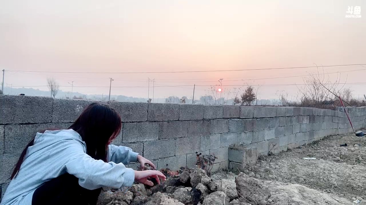 【2023-01-09 17点场】呆妹儿小霸王：【钻粉2.5倍】：三台橙子上线啦