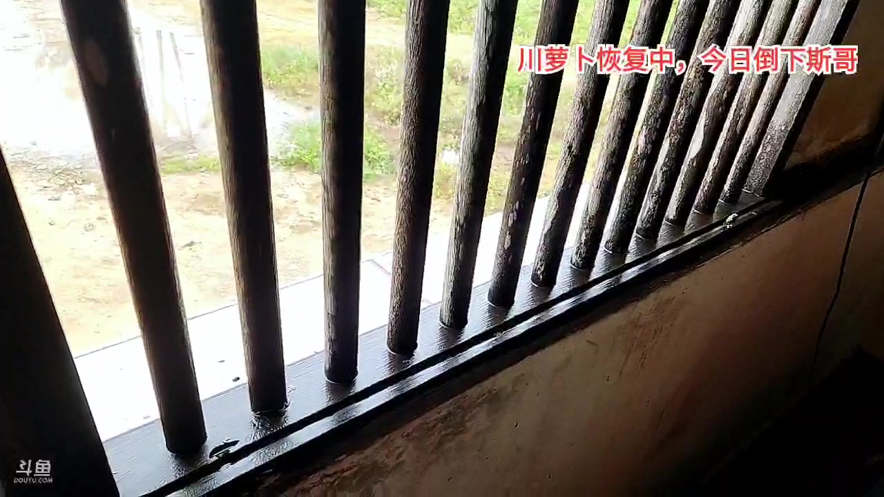 【2023-01-09 12点场】川味箩卜：全军覆没，开播待定