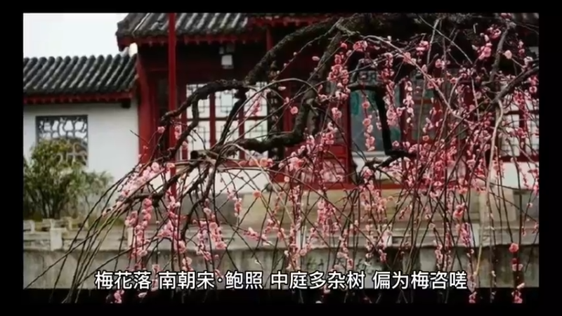 古诗词文化3