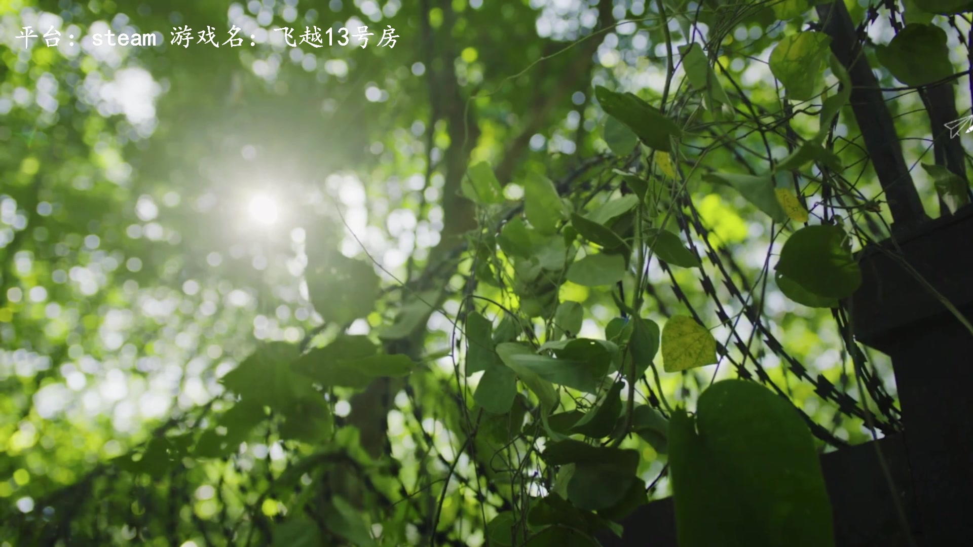 【2023-01-10 12点场】琼斯小卫：国产恐怖《黑暗笔录》首播~胆小勿入