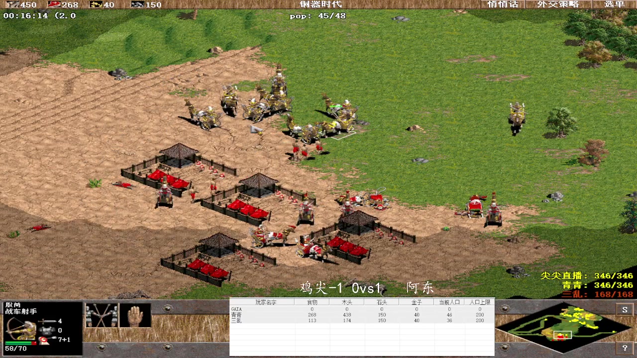 鸡尖-1 2vs3   阿东