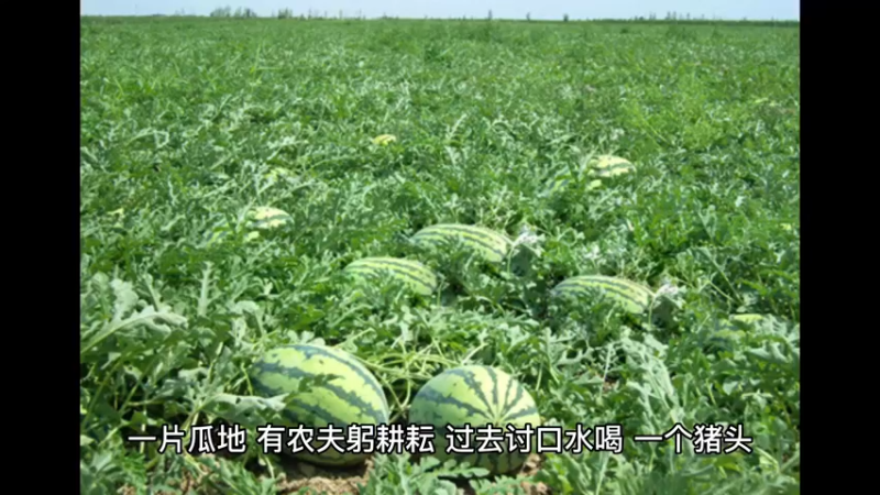 【有声书】第5章 钻石