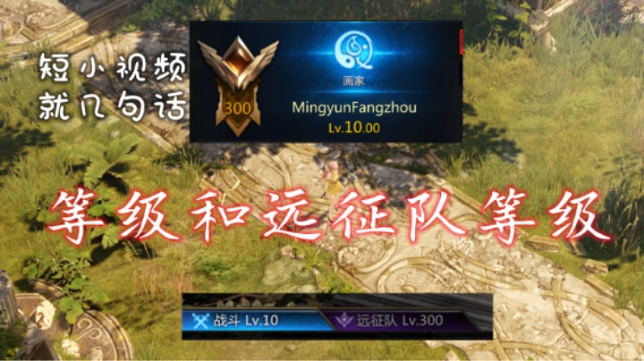 第1集【命运方舟】失落的方舟 等级和远征队等级