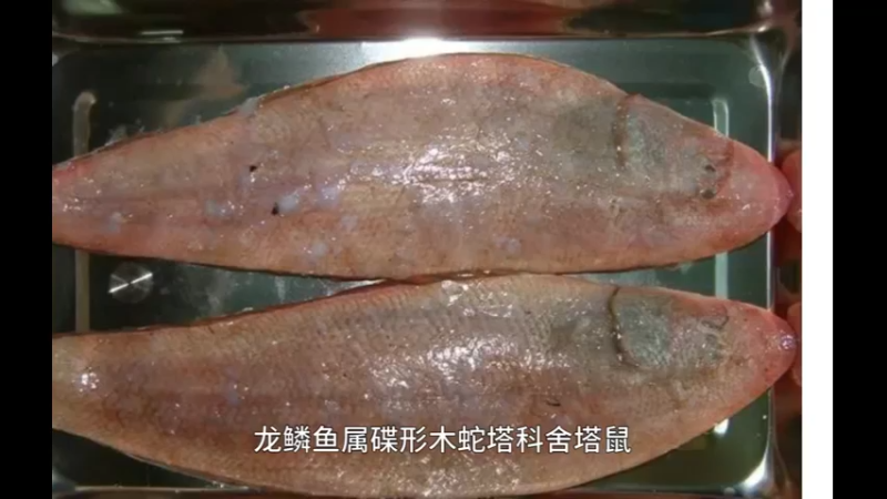 龙利鱼
