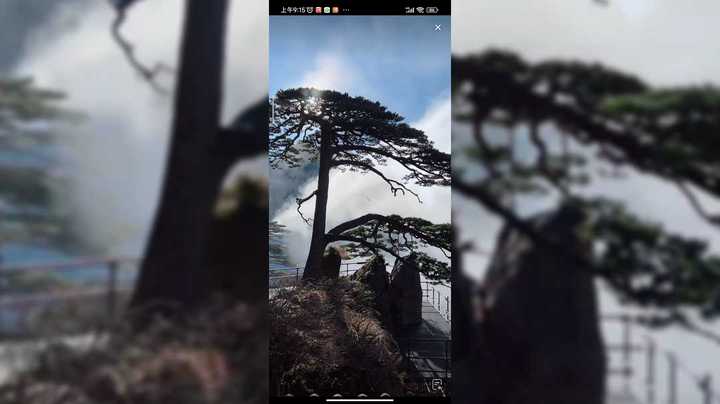 在黄山迎客松的附近看七彩太阳，光圈好美啊