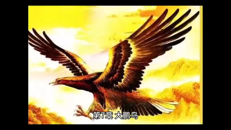 【有声书】《麦芽博士：这个不是BUG》第7章 大鹏鸟