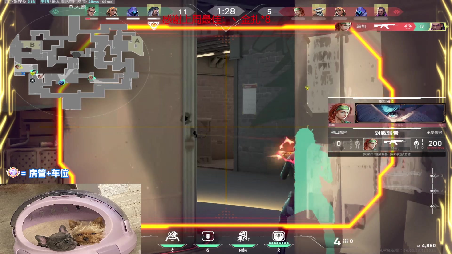 【2023-01-12 01点场】瓦罗兰特啊杰：【啊杰】：开心的直播间！！！