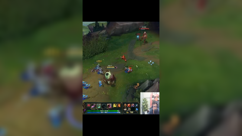 你见过25层鲨人书的塔姆吗？