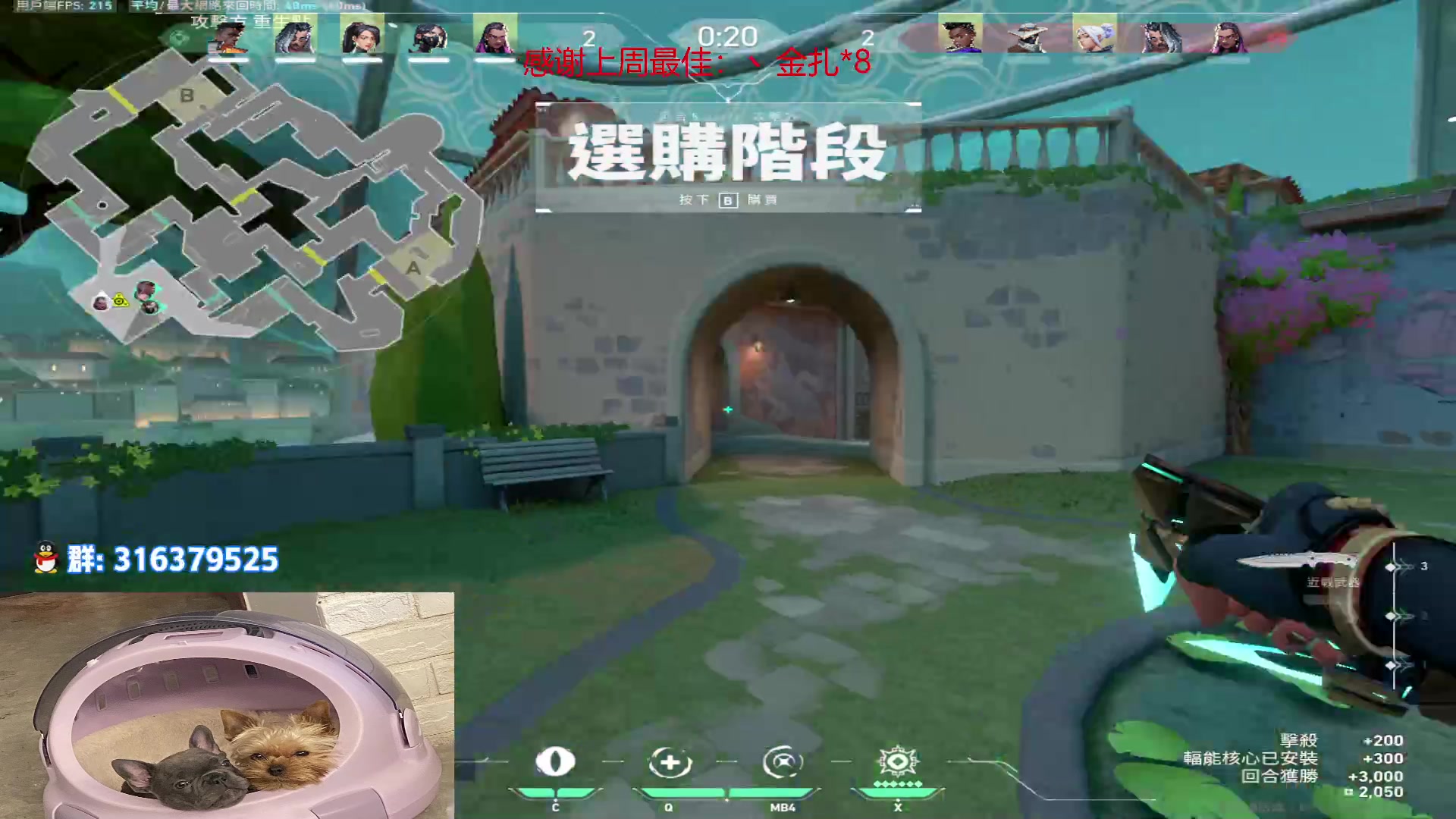 【2023-01-11 19点场】瓦罗兰特啊杰：【啊杰】：开心的直播间！！！