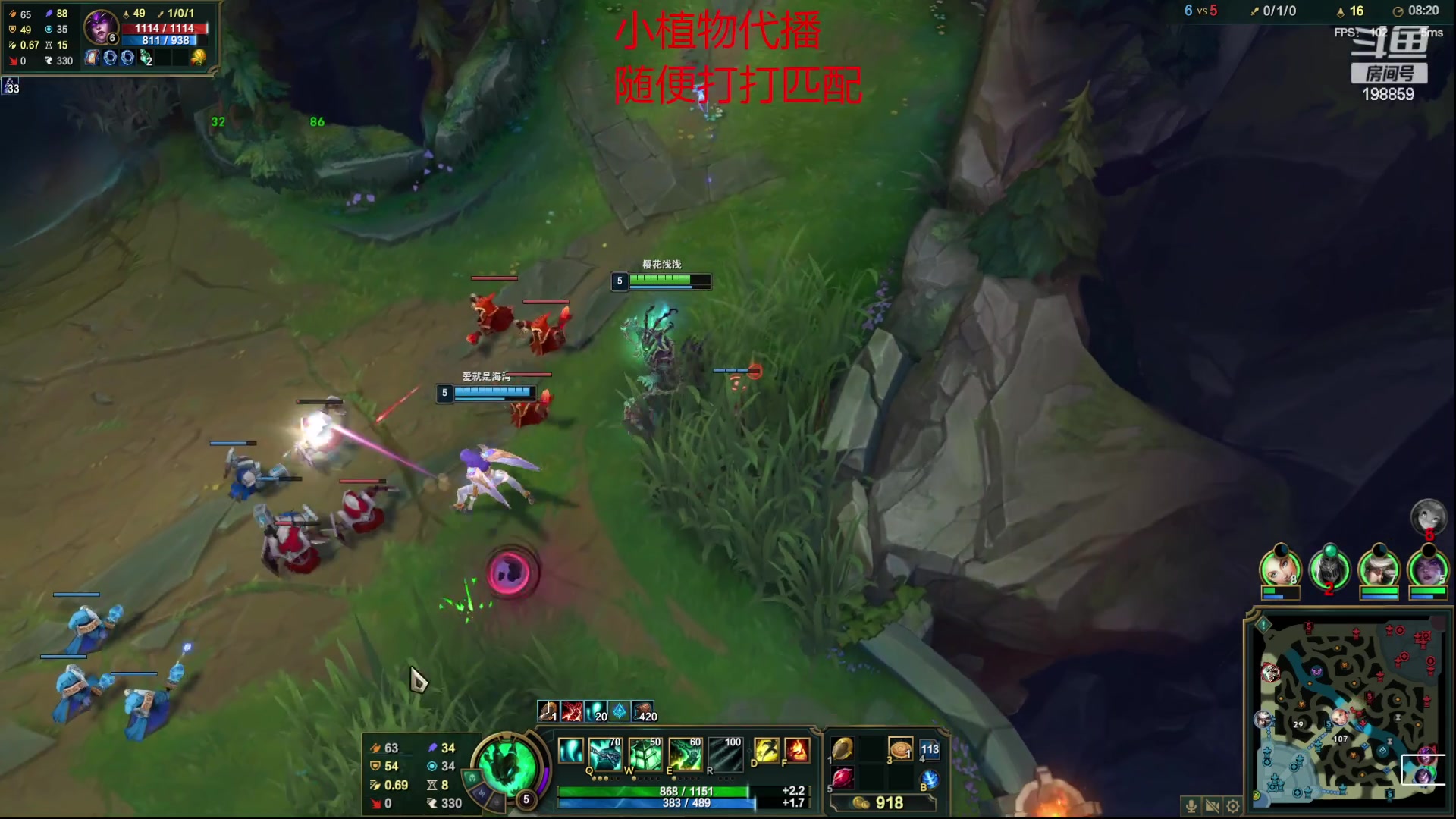 【2023-01-09 22点场】主播阿迎：阿迎：小植物代播打打匹配