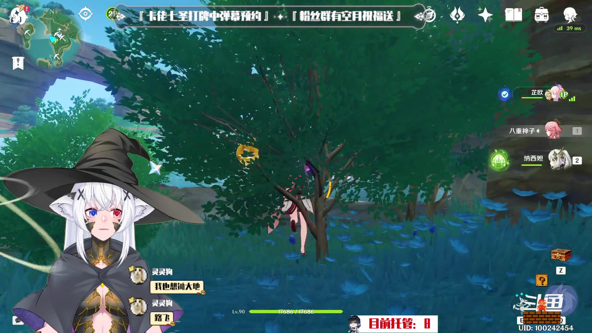【2023-01-08 20点场】卡佬GTX1080tiPrime：『补星卡猫』你的护肝小助手