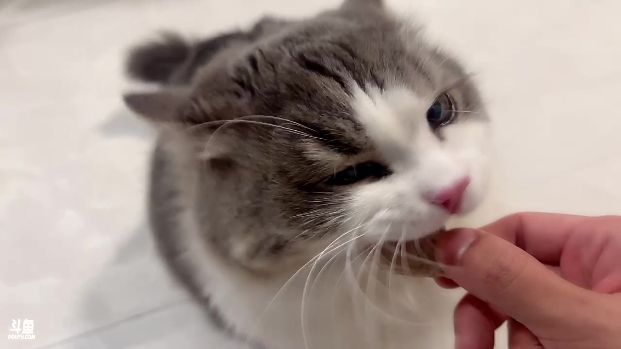 【2023-01-12 00点场】DYG萧玦：巅峰赛冲冲冲冲