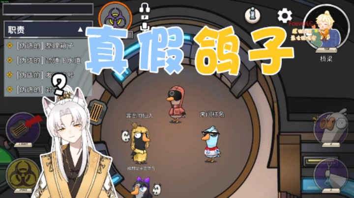 这把到底谁才是鸽子