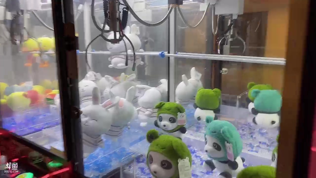 【2023-01-09 20点场】童猪啊i：【双倍】三亚3天不定时户外