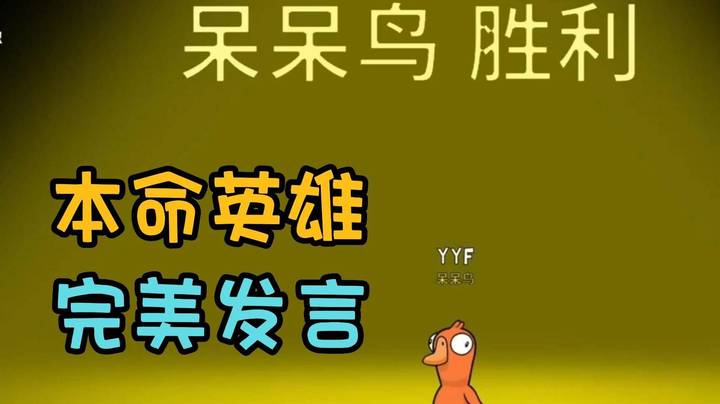 不要小看枫哥与呆呆鸟的羁绊啊！拿到本体思路直接清晰了 -