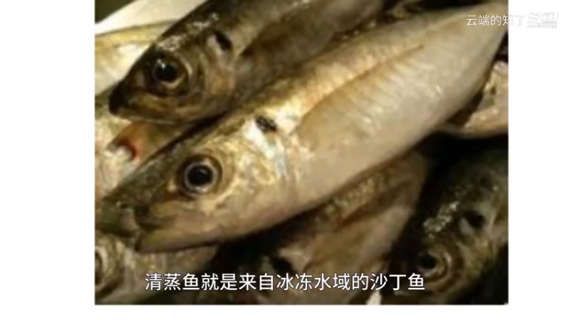 青背鱼