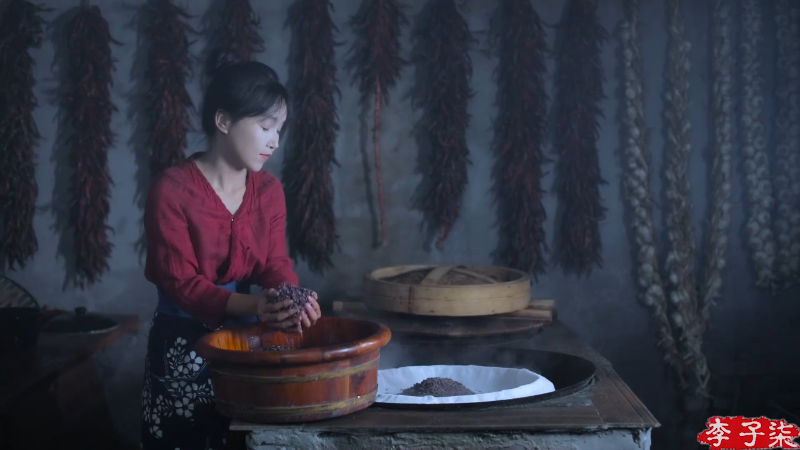 【美食】李子柒liziqi的精彩时刻 20230113 07点场