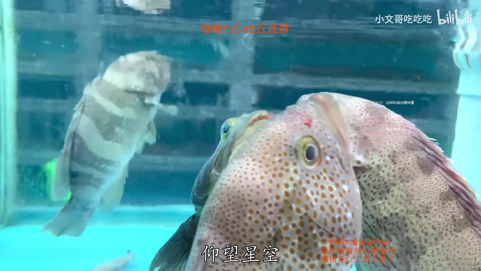 【2023-01-13 22点场】主播油条：油条:1W秒人AP小蜘蛛！
