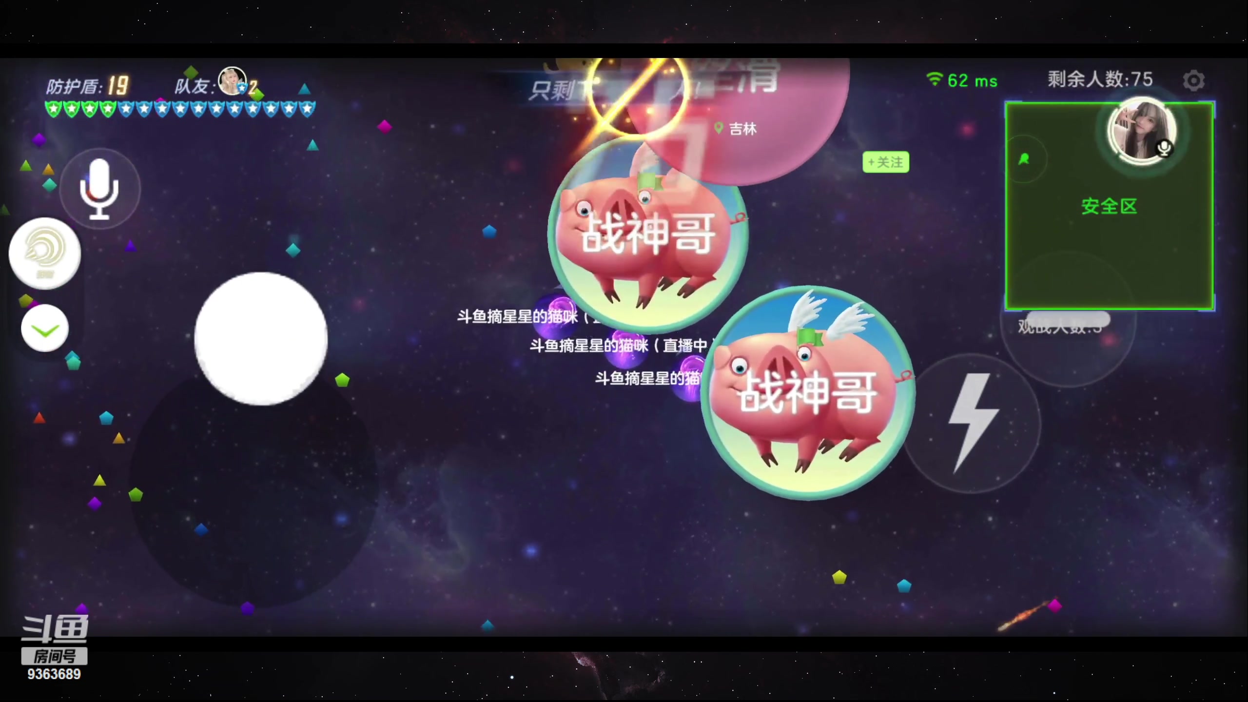 【2023-01-13 20点场】摘星星的猫咪：2K分辨率 最强意识猫猫花式乱秀~