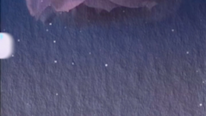 薇微An发布了一个斗鱼视频2023-01-14